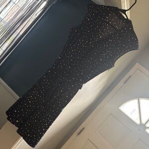 Ann Taylor Navy and White Polka Dot Petite Dress
